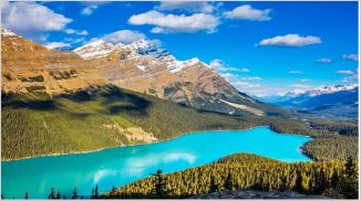 La Navidad es el verdadero significado de la esperanza en un mundo incierto