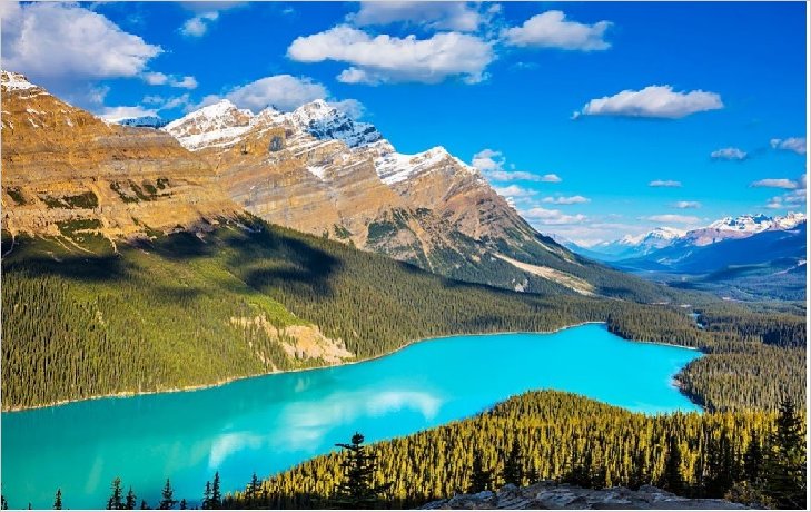 La Navidad es el verdadero significado de la esperanza en un mundo incierto