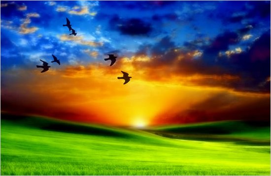 Dedicar las vacaciones para escuchar y buscar a Dios