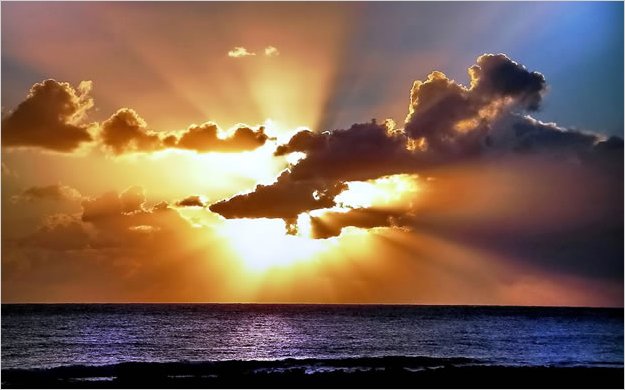 Debemos desenmascarar los Ã­dolos que nos impiden amar a Dios