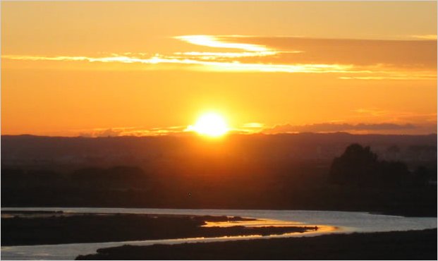 Dios tiene miles de modos de tocarnos el alma dice el Papa