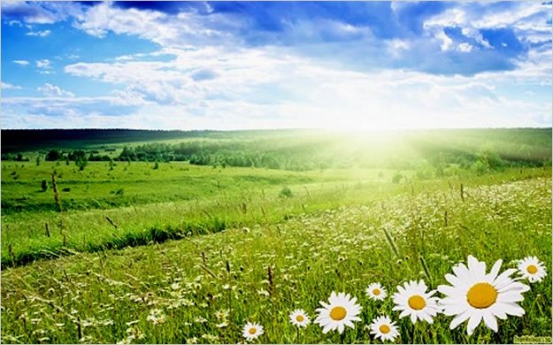 El papa invita a redescubrir el domingo como dÃ­a de Dios y de la comunidad