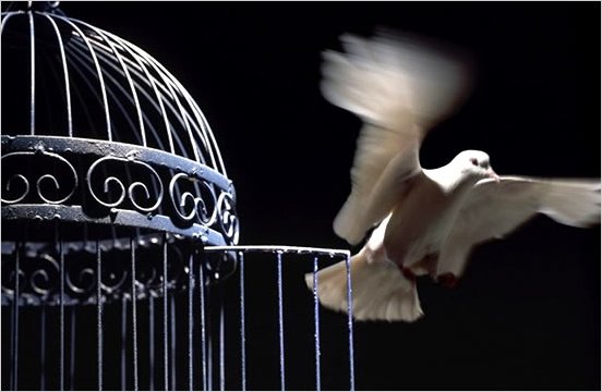 La libertad crece cuando el hombre se abre de todo corazÃ³n a Dios