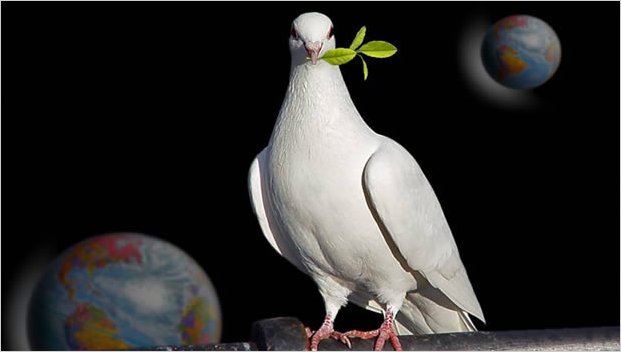 Construir la paz de mundo, deseo del Papa para 2011