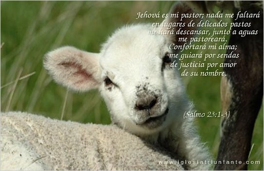 El vigÃ©simo tercer Salmo es bien querido alrededor del mundo